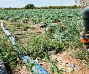 Agriculture Pipes & Fittings