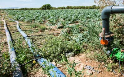 Agriculture Pipes & Fittings